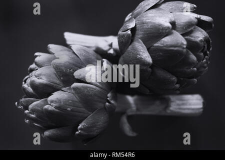 Noch immer leben von ein paar Artischocken Stockfoto