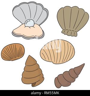 Vektor einrichten Der sea shell Stock Vektor