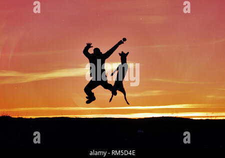 Mensch und Hund springen in den Himmel vor dem Hintergrund eines Sonnenuntergangs. Stockfoto