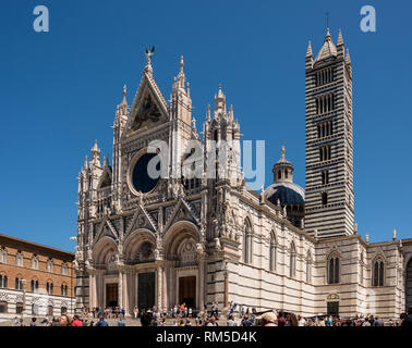 Duomo di Siena (Siena), Toskana, Italien Stockfoto