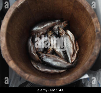 Hering in einem holzschaft - Meer Fisch. Stockfoto