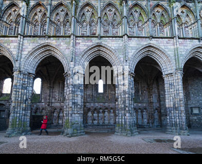 Holyrood Abbey im Palast von Holyroodhouse in Edinburgh, Schottland, VEREINIGTEN KÖNIGREICH ruiniert Stockfoto