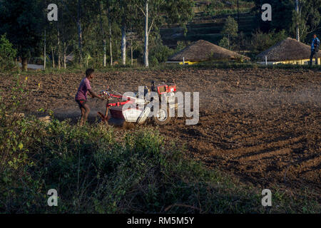 Man pflügen Feld mit Traktor, Andhra Pradesh, Indien, Asien Stockfoto