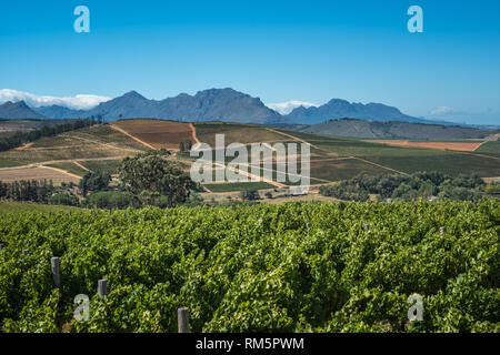 Die schöne Landschaft der Cape Winelands, Weinbaugebiet in Südafrika Stockfoto