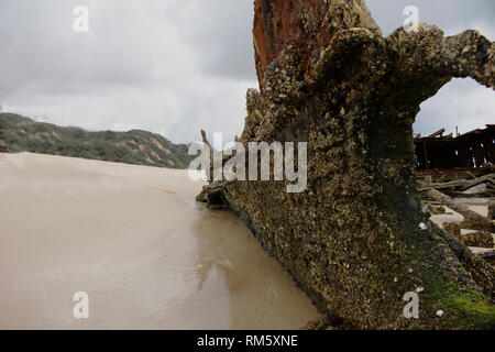 S.S Maheno Schiffswrack auf Fraser Island, Australien Stockfoto