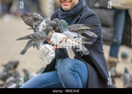 Tauben halten in ihren Händen auf dem Dam Platz in Amsterdam Die Niederlande 2019 Stockfoto