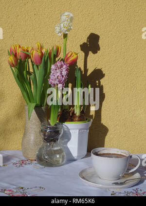 Frühlingsblumen in einem Arrangement zu Ostern Stockfoto