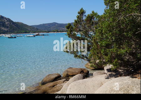 Schöne Strände - Santa Giulia Brach, Süd Korsika, Porto Vecchio Korsika Stockfoto