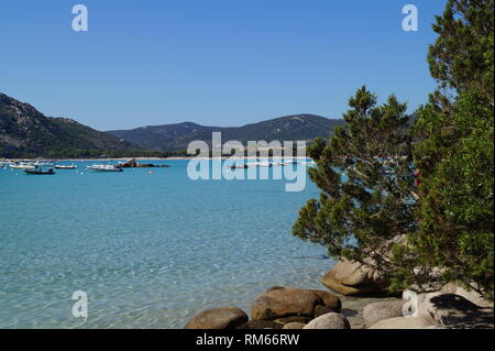 Schöne Strände - Santa Giulia Brach, Süd Korsika, Porto Vecchio Korsika Stockfoto