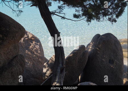 Schöne Strände - Santa Giulia Brach, Süd Korsika, Porto Vecchio Korsika Stockfoto