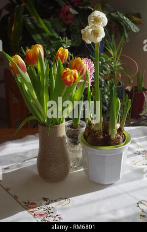 Frühlingsblumen in einem Arrangement zu Ostern Stockfoto
