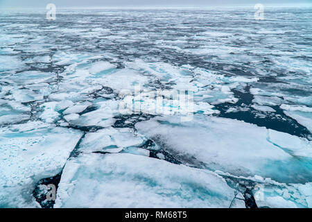 Arktischen Eis. In Spitzbergen, Svalbard, Norwegen fotografiert. Stockfoto