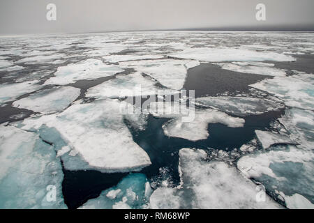 Arktischen Eis. In Spitzbergen, Svalbard, Norwegen fotografiert. Stockfoto