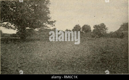 . Jahresbericht des landwirtschaftlichen Experiment Station. Der Cornell University. Landwirtschaftliche Experiment Station; Landwirtschaft - New York (State). Chautauqua Grai" e. 143 Daher am Ufer des Sees haben wir eine Terrasse Ebene von einer nahezu einheitliche Ebene, die Steigung (Abbn. 58, 59 und 61), wobei das Ganze aus gut abgerundet und Wasser - getragen. 64.- Kies der Strand in Barcelona. Kies und Sand (Abbn. 58 und 61:). Wir finden auch zahlreiche Wave-cut Klippen entweder im Ton (Abb. 61) bzw. im Fels (Abb. 48); und gegenüber den Mündungen der Flüsse gibt es häufig für Stockfoto