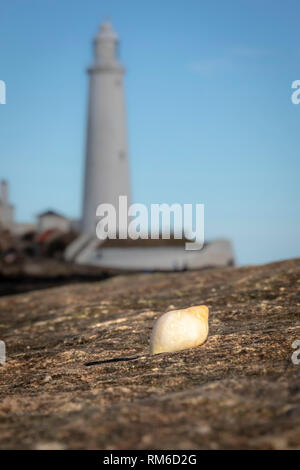 St Mary's Leuchtturm, Whitley Bay, England, GB, UK, Europa. Stockfoto