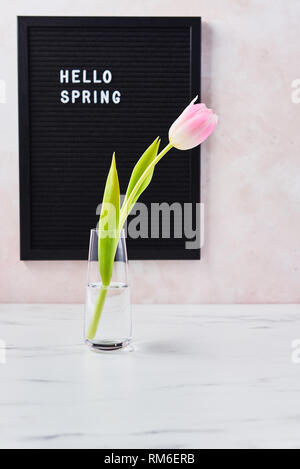 Feder Konzept. Rosa Tulpe Blume in einem Glas Vase auf weißem Marmortisch und Schwarz letterboard mit Zitat Hallo Feder auf rosa Hintergrund. Platz kopieren Stockfoto