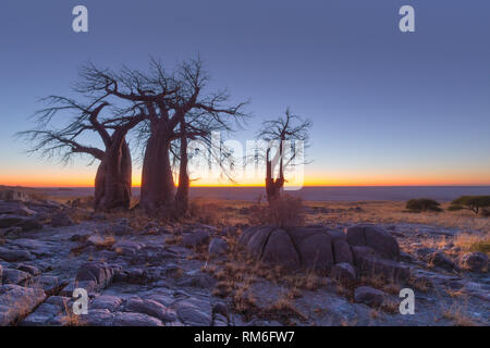 Blau vor Sonnenaufgang Stockfoto