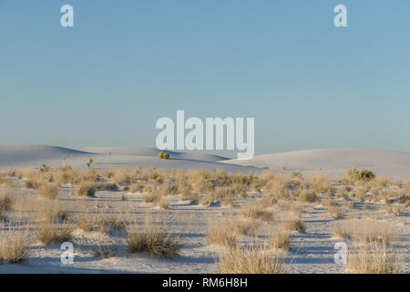 Entdecken Sie die oberen Dinge in White Sands, New Mexico zu tun. Die weltweit größten Gips Sanddünen von White Sands National Monument erforschen. Stockfoto