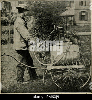 . Jahresbericht des landwirtschaftlichen Experiment Station. Der Cornell University. Landwirtschaftliche Experiment Station; Landwirtschaft - New York (State). Das Versprühen von Obstgärten. 107 Art der Maschine, die das Pferd eine Chance zu geben, an den Pumpen statt sich selbst tun, und sein Wohlgefallen wird wahrscheinlich direkt im Verhältnis zu der Menge des Pflanzenschutzmittels, die er in der Vergangenheit getan hat. Mit Hoffnung in unseren Herzen schrieben wir die Field Force Pumpe Co. von Lockport, N.Y., und diese Firma uns freundlicherweise geschickt einer Ihrer Maschinen für die Testversion. Es war zu einem Obstgarten und gründlich. 13. Wartenden spray Outfit für Licht Stockfoto