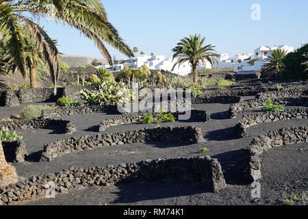 Vulkanhaus, Garten, Fundación César Manrique, Vulkan und Photographie, Museum, La Asomada, Lanzarote, Kanarische Inseln, Spanien Stockfoto