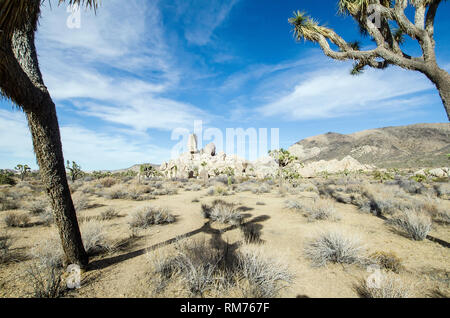 Headstone Rock steht prominent in der Ryan Campground Region des Joshua Tree National Park in Kalifornien, USA.Landschaft Stockfoto