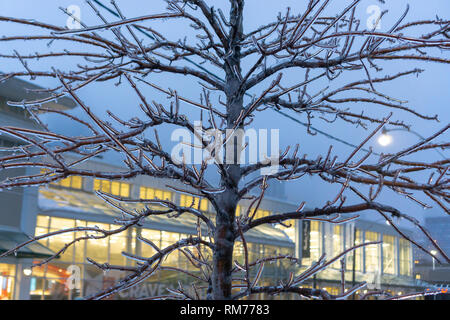 Obwohl die Toronto Ice Storm bewirkt immer eine Menge echten Schäden in der Stadt gibt es unbestreitbare Schönheit bringt es mit der Wörtlichen ilver Futter' Stockfoto