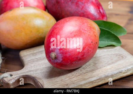 Die nationalen Obst von Indien, Pakistan und den Philippinen tropischen organischen reife rote Mango bereit zu schließen, zu essen Stockfoto