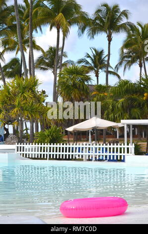 Cocos nucifera Coconut Palm Tree Tops gegen den klaren, blauen Himmel in einem tropischen Lage. Tropischen Palmen um den Pool von Holiday Resort Hotel. Stockfoto