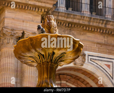 Taube in reich verzierten Brunnen, Plaza del Obispo mit Kathedrale Basilica, Malaga, Andalusien, Spanien Stockfoto