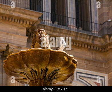 Taube in Brunnen, Plaza del Obispo oder Bishop's Square, mit Kathedrale Basilica, Malaga, Andalusien, Spanien Stockfoto