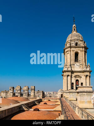 Glockenturm und ungewöhnliche gewölbten Dach, Kathedrale Basilica, Malaga, Andalusien, Spanien Stockfoto
