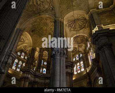 Innenansicht, gewölbte Decke der ambulanten, Kathedrale Basilica, Malaga, Andalusien, Spanien Stockfoto