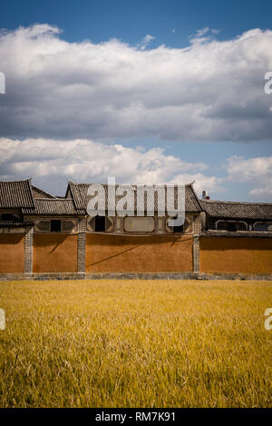 Traditionelle Bai Häuser und Reisfelder, xizhou Dorf, Provinz Yunnan, China Stockfoto