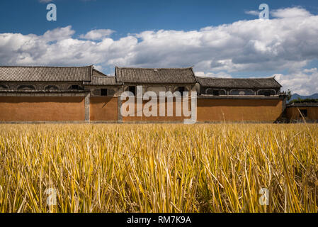 Traditionelle Bai Häuser und Reisfelder, xizhou Dorf, Provinz Yunnan, China Stockfoto