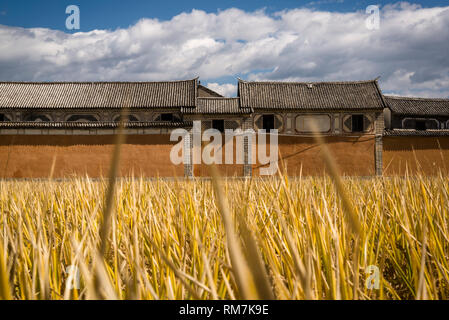 Traditionelle Bai Häuser und Reisfelder, xizhou Dorf, Provinz Yunnan, China Stockfoto