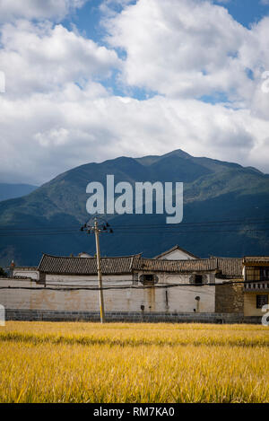 Traditionelle Bai Häuser und Reisfelder, xizhou Dorf, Provinz Yunnan, China Stockfoto