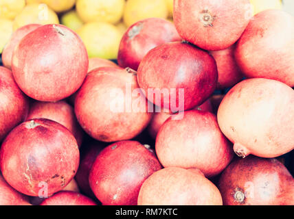 Reife Granatäpfel in den Obstmarkt, Catania, Sizilien, Italien Stockfoto