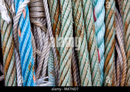 Angelausrüstung, Kappeln, Schleswig-Holstein, Deutschland, Europa Stockfoto