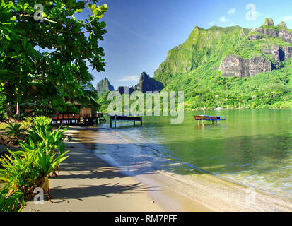 Cooks Bay Moorea Tahiti Stockfoto