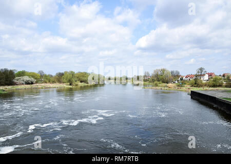 Grady odrzanskie' - Odra River in der Nähe von Breslau. Natur Schutzgebiete "Natura 2000". Dolnoslaskie, Polen. Stockfoto