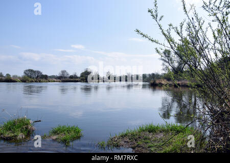Grady odrzanskie' - Odra River in der Nähe von Breslau. Natur Schutzgebiete "Natura 2000". Dolnoslaskie, Polen. Stockfoto