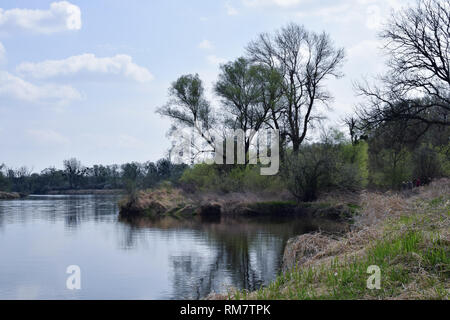 Grady odrzanskie' - Odra River in der Nähe von Breslau. Natur Schutzgebiete "Natura 2000". Dolnoslaskie, Polen. Stockfoto