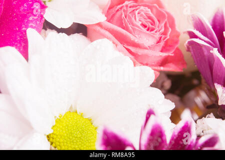 Detailansicht der Blumenstrauß mit Rosen und Gänseblümchen Hintergrund, zum Valentinstag oder der Frau Tag Hintergrund Stockfoto