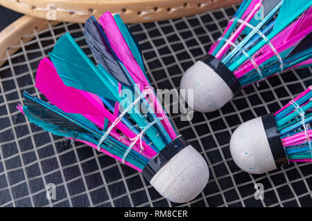Bunte Federn im Badminton Federball. Mannschaft spielen. Der dunkle Hintergrund. Stockfoto