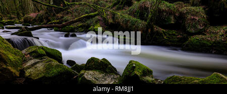 Golitha Falls und Draynes Woods Lanreath Bodmin Stockfoto