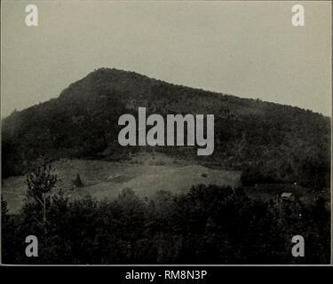 . Jahresbericht. New York State Museum; Wissenschaft; Wissenschaft. Platte ii W. J. Miller, Foto die Loon Lake mountain Störung-Block, wie von einem Punkt drei angesehen - viertel Meile im Süden und Südwesten. Auf der linken (westlichen) Seite den steilen Hang ist, dass Steilkante des größeren der beiden Schroon lake Störungen. Mit der "Nach-unten-Neigung der Baustein in Richtung Osten ist perfekt dargestellt. Die Klippe, mehrere hundert Meter hoch, mit Blick auf den Süden, ist die Steilkante des Störung an der Südseite des Berges. Der obere Teil dieses Berg, der 600 Meter über dem Tal erhebt, besteht aus Grenville Quarzit und Ihre l Stockfoto