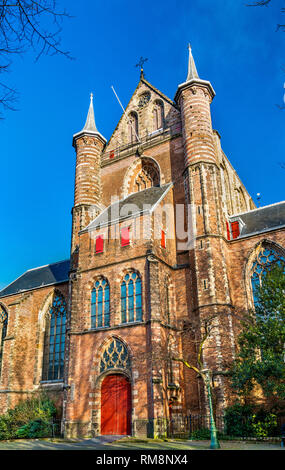 Die pieterskerk, einer spätgotischen Kirche in Leiden, Niederlande Stockfoto