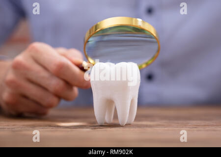 Nahaufnahme einer Person, die Lupe über die Gesunde weisse Zahn am Schreibtisch aus Holz Stockfoto
