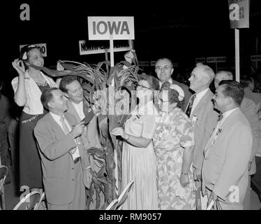 Die Iowa Delegation bewundert einen Stiel mit live Mais auf dem Boden der Internationalen Amphitheater bei der Democratic National Convention 1952 in Chicago. Stockfoto