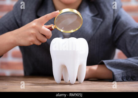 Nahaufnahme einer Person, die Lupe über die Gesunde weisse Zahn am Schreibtisch aus Holz Stockfoto